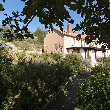 In - Insel Rab 17776 *